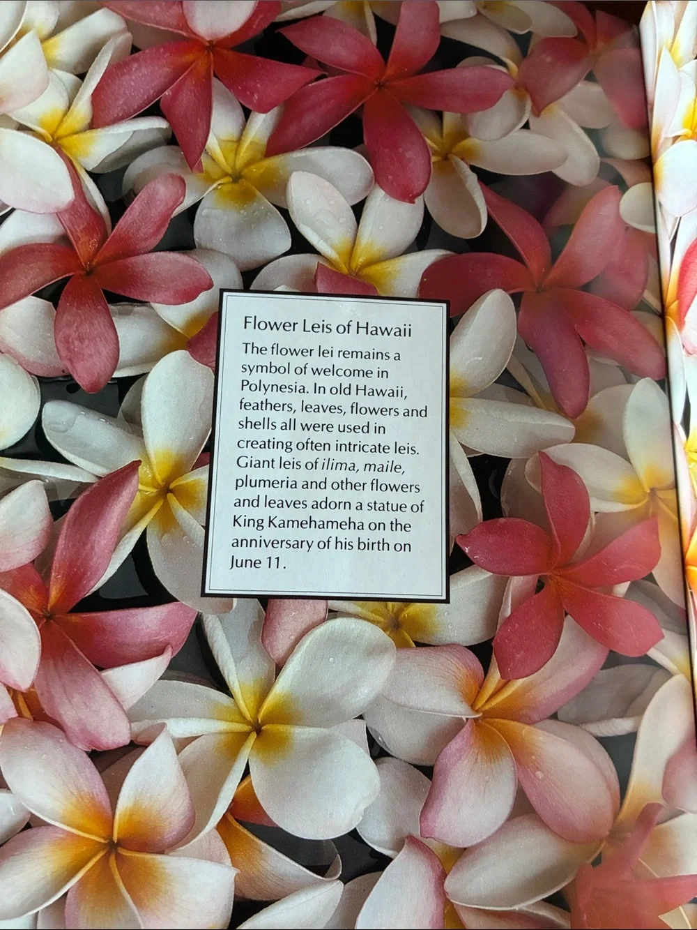 🔺FREE WHEN BUNDLED🔺 “Flowers of Hawaii” Book — Island Heritage